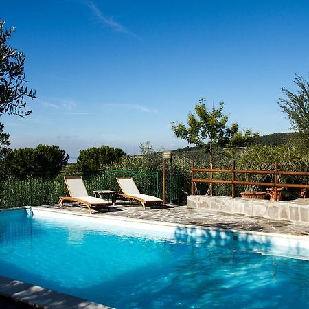 Genius Apartments San Savino  Εξωτερικό φωτογραφία